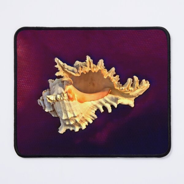 Item preview, Ocean Sounds in Seashell Harmony  designed and sold by Duncan-Mac.