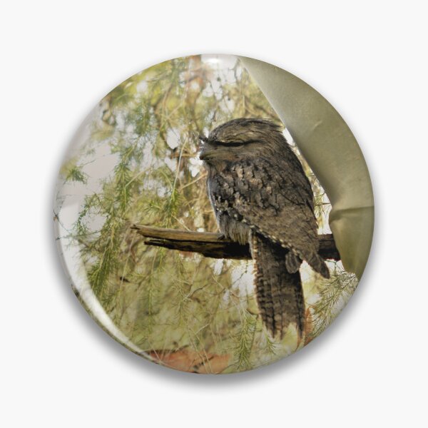 Item preview, Tawny Frogmouth Blending in Beautifully designed and sold by imaginethis.