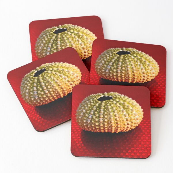 Item preview, Sea urchin Kina designed and sold by Duncan-Mac.
