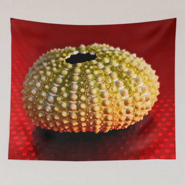 Item preview, Sea urchin Kina designed and sold by Duncan-Mac.