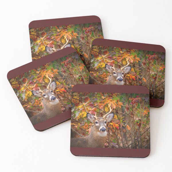 Item preview, Buck in Autumn  designed and sold by Shannon Emmel .