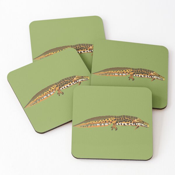 Item preview, S is for Smooth Newt,Smooth Newt Collection | Amphibian Art & Nature Designs designed and sold by PrettylittlepastelUk.
