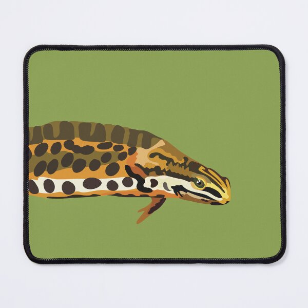 Item preview, S is for Smooth Newt,Smooth Newt Collection | Amphibian Art & Nature Designs designed and sold by PrettylittlepastelUk.