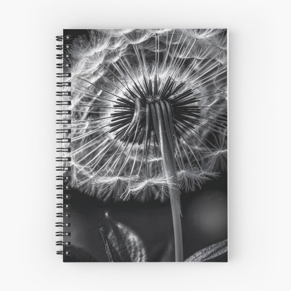 Item preview, Dandelion Blowball Negative Film Photography designed and sold by ShadeScapeArt.