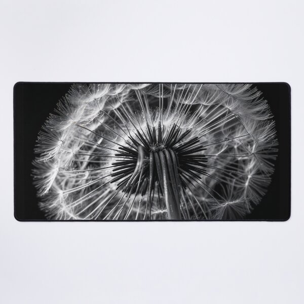 Item preview, Dandelion Blowball Negative Film Photography designed and sold by ShadeScapeArt.