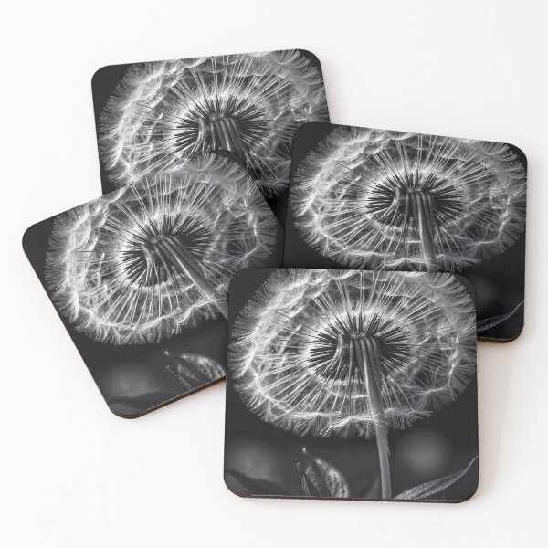Item preview, Dandelion Blowball Negative Film Photography designed and sold by ShadeScapeArt.