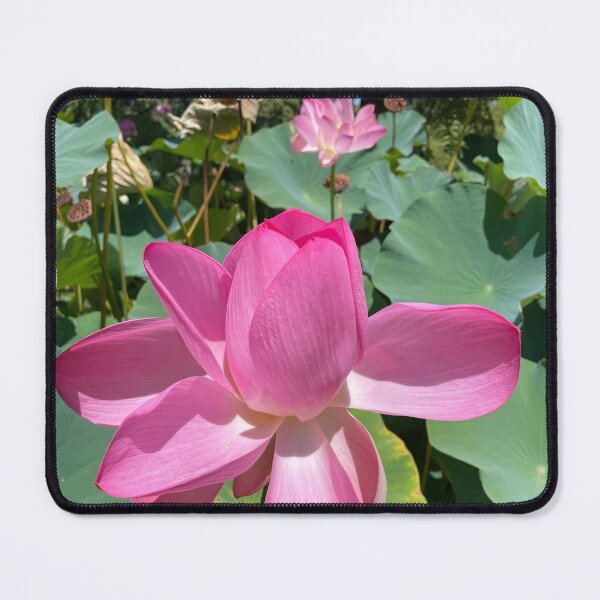 Item preview, Lotus flowers designed and sold by EsjCreative.