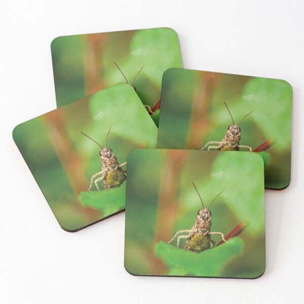 Item preview, Vibrant Grasshopper Macro on Twig. Nature's Detail designed and sold by 3 Hours of Silence.