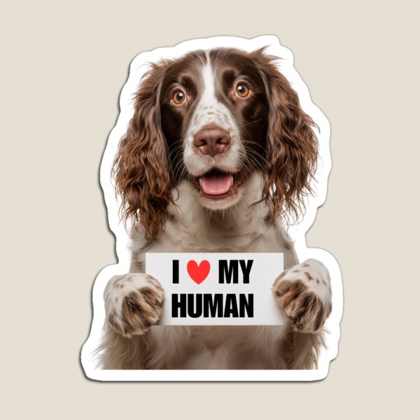 Item preview, Cute English Springer Spaniel dog with Signboard I love my Human  designed and sold by LazyOwlStore.