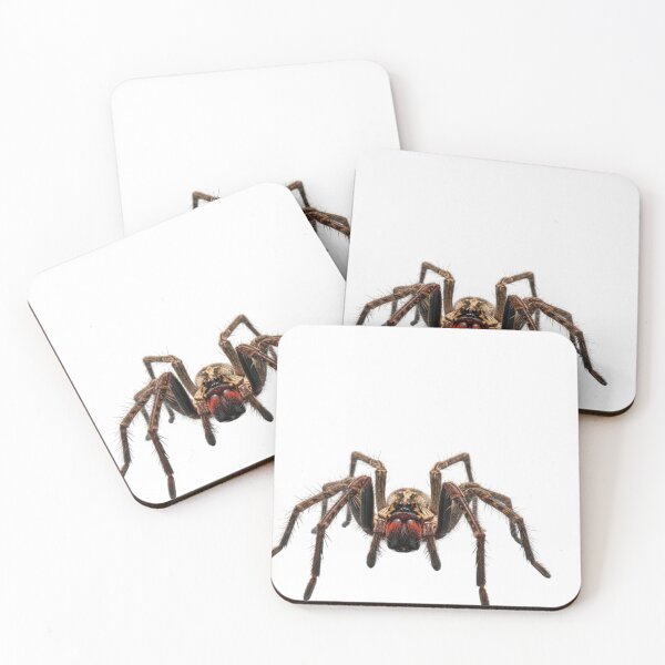 Item preview, Real Tarantula designed and sold by DanG8.