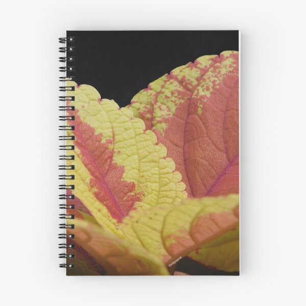 Item preview, Coleus Leaves designed and sold by ArtbyMparrish .