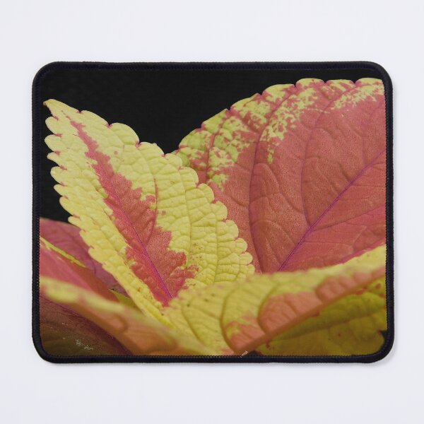 Item preview, Coleus Leaves designed and sold by ArtbyMparrish .