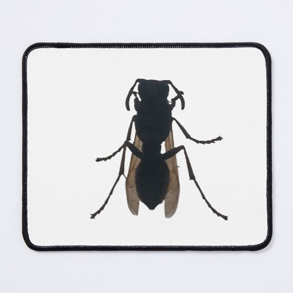Item preview, Winged Shadow Insect Silhouette designed and sold by 1024-Befoozally.