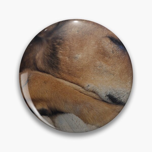 Item preview, Naps by El Capitan designed and sold by Amanda Huggins.