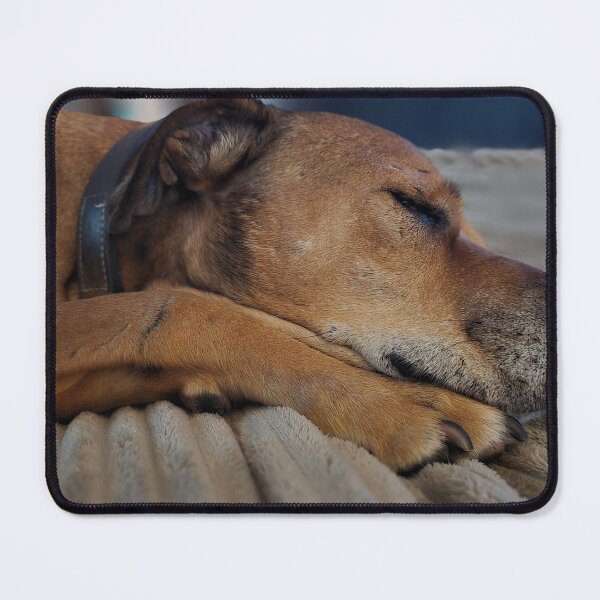 Item preview, Naps by El Capitan designed and sold by Amanda Huggins.