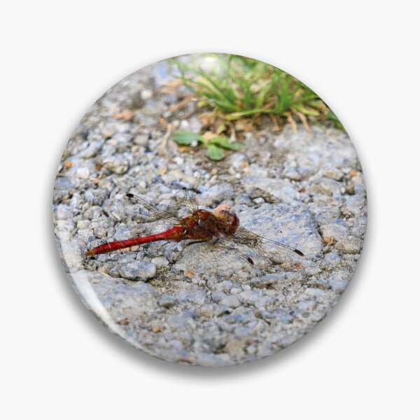 Item preview, Rocky road. Vagrant darter designed and sold by Jouko Lehto Photography.