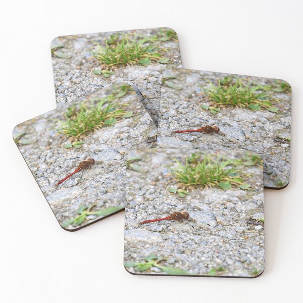Item preview, Rocky road. Vagrant darter designed and sold by Jouko Lehto Photography.
