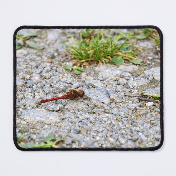 Item preview, Rocky road. Vagrant darter designed and sold by Jouko Lehto Photography.