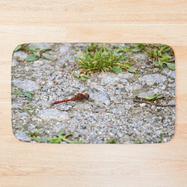 Item preview, Rocky road. Vagrant darter designed and sold by Jouko Lehto Photography.