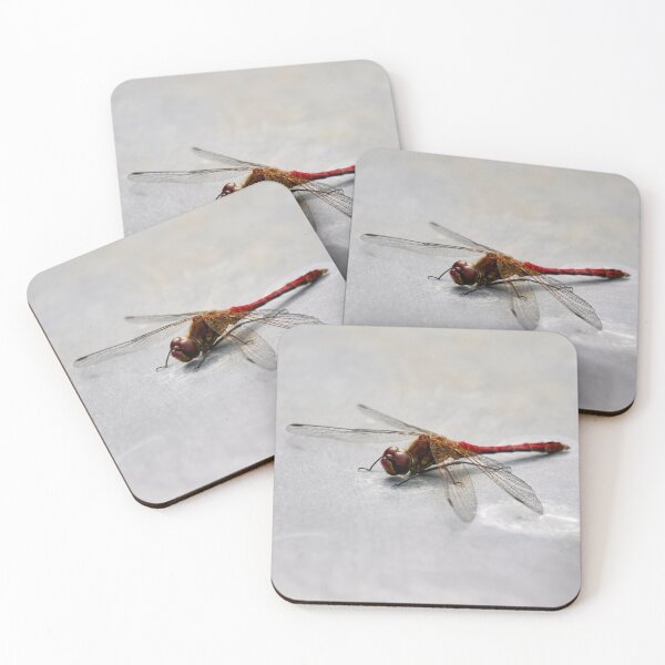 Item preview, Metallic. Vagrant darter designed and sold by Jouko Lehto Photography.