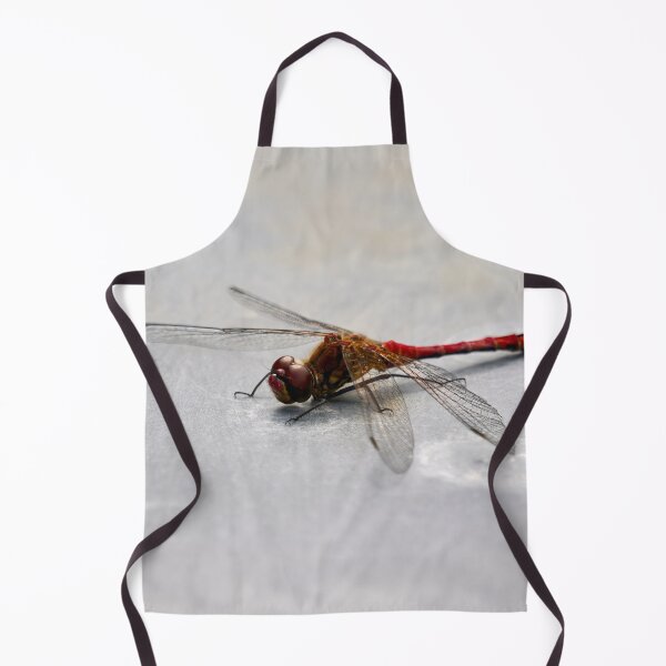 Item preview, Metallic. Vagrant darter designed and sold by Jouko Lehto Photography.