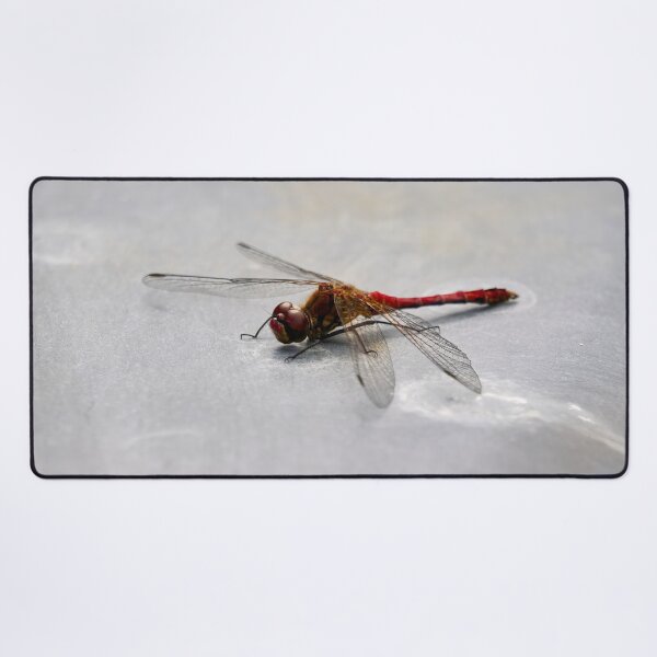 Item preview, Metallic. Vagrant darter designed and sold by Jouko Lehto Photography.