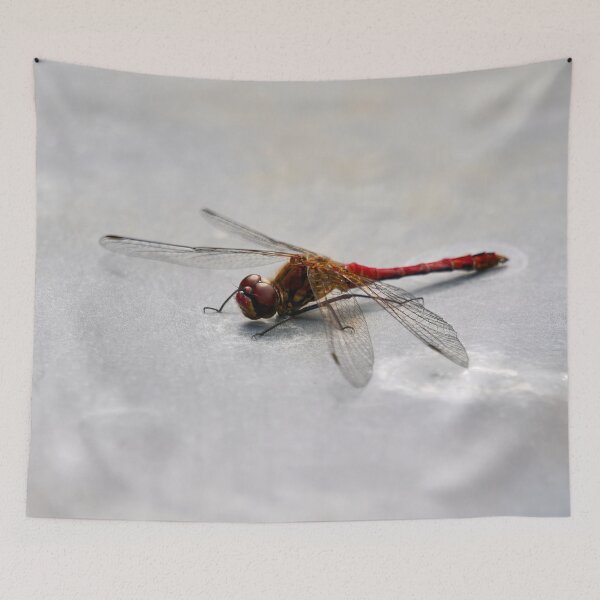 Item preview, Metallic. Vagrant darter designed and sold by Jouko Lehto Photography.