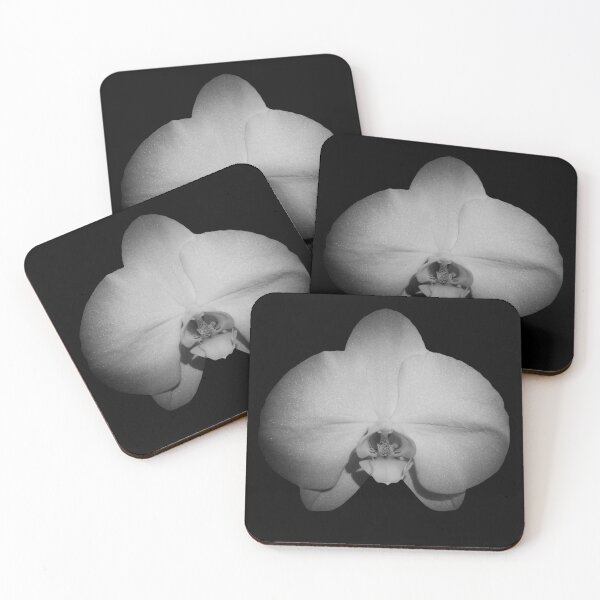 Item preview, Black and white Moth Orchid  designed and sold by CEastwoodPhotos.