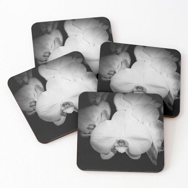 Item preview, White Moth Orchid flowers B&W designed and sold by CEastwoodPhotos.