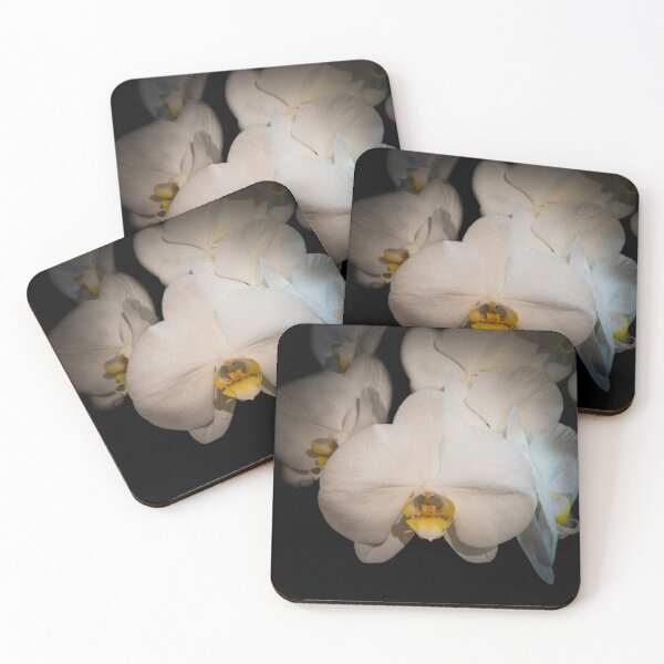 Item preview, White Moth Orchid flowers on black background designed and sold by CEastwoodPhotos.