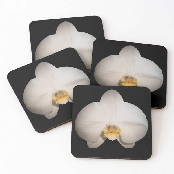 Item preview, White Moth Orchid Against Black Background designed and sold by CEastwoodPhotos.