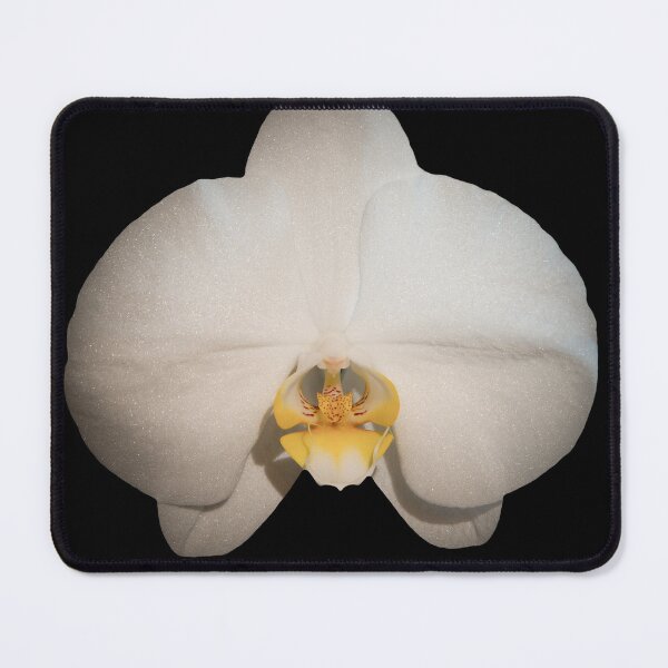 Item preview, White Moth Orchid Against Black Background designed and sold by CEastwoodPhotos.