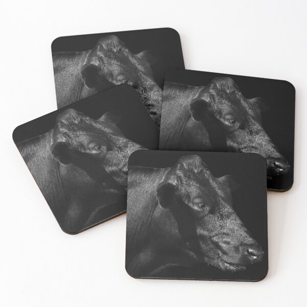Item preview, Stunning Black Cow Portrait designed and sold by CEastwoodPhotos.