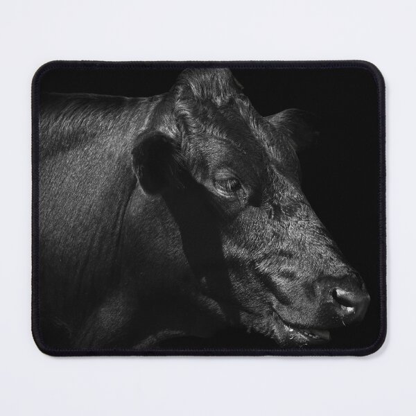 Item preview, Stunning Black Cow Portrait designed and sold by CEastwoodPhotos.
