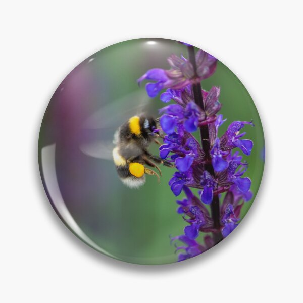 Item preview, Busy bee gathering nectar and pollen designed and sold by CEastwoodPhotos.