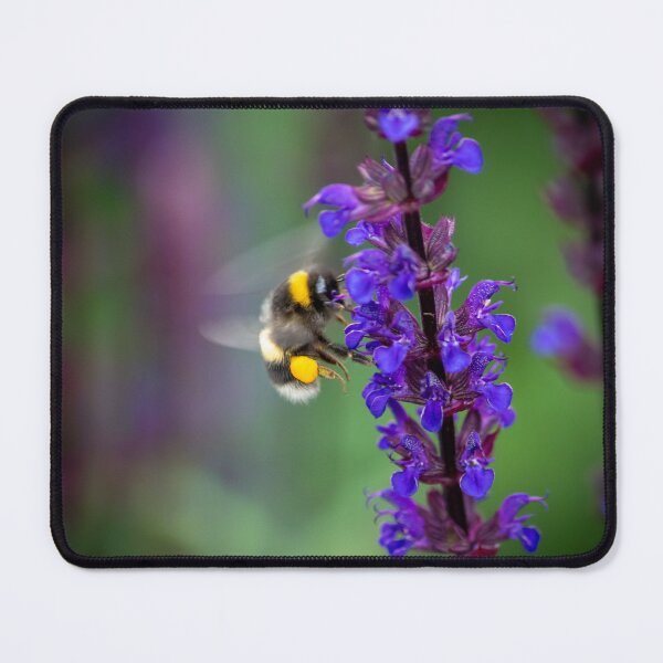 Item preview, Busy bee gathering nectar and pollen designed and sold by CEastwoodPhotos.