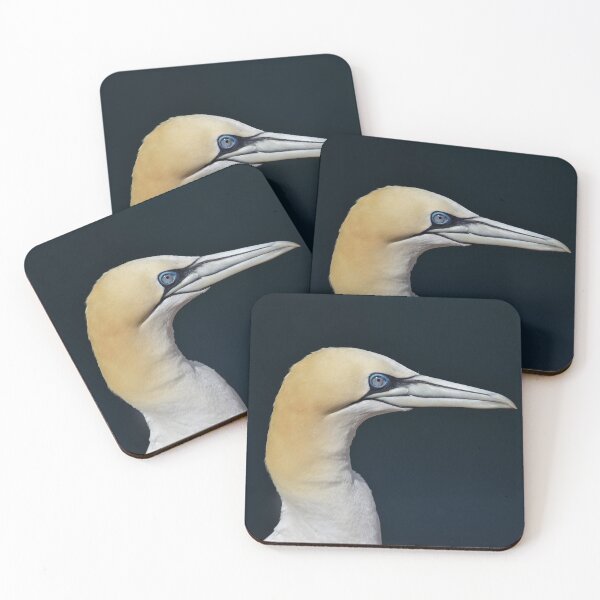 Item preview, Gannet close up profile Portrait  designed and sold by CEastwoodPhotos.