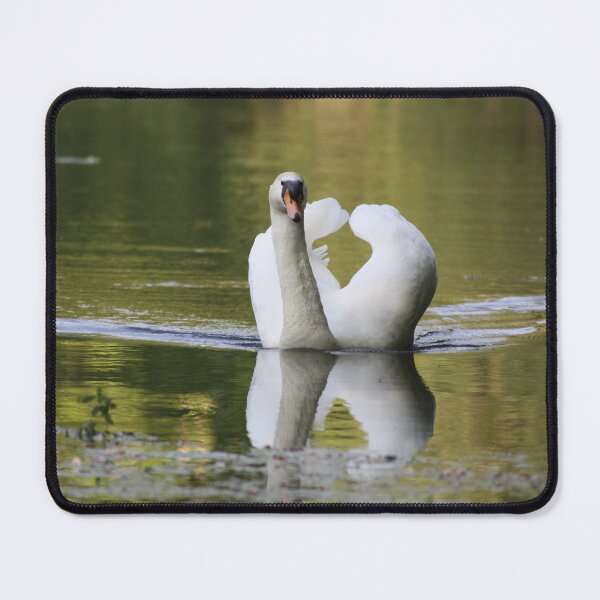 Item preview, Gliding Swan designed and sold by PoppyPirate.