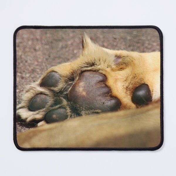 Item preview, Paw Pads designed and sold by PoppyPirate.