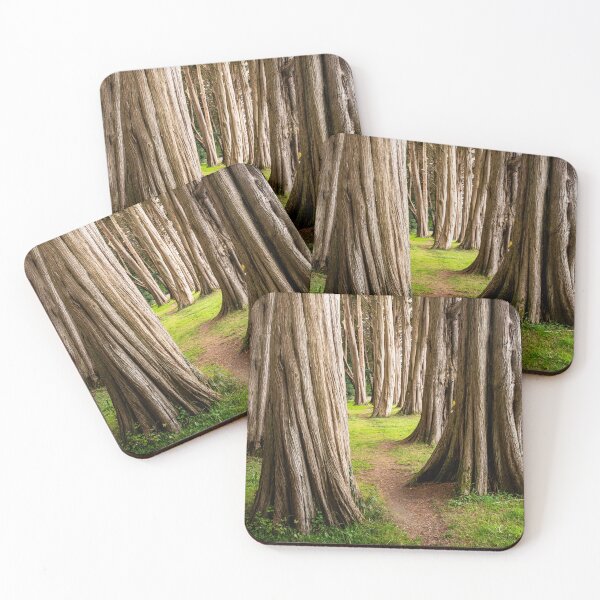 Item preview, Cypress Trees Plas Newydd Wales designed and sold by CEastwoodPhotos.