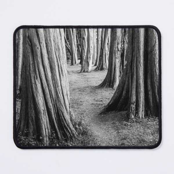 Item preview, Cypress Trees Plas Newydd Wales B&W designed and sold by CEastwoodPhotos.