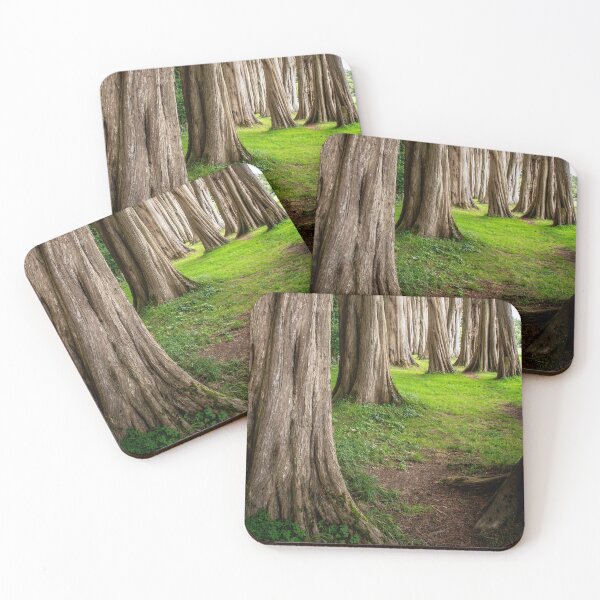 Item preview, Cypress Trees Plas Newydd Wales designed and sold by CEastwoodPhotos.