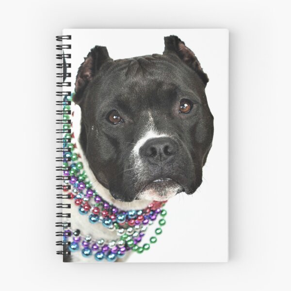 Item preview, Krewe de la Reina Phocid designed and sold by flapsofdestiny.