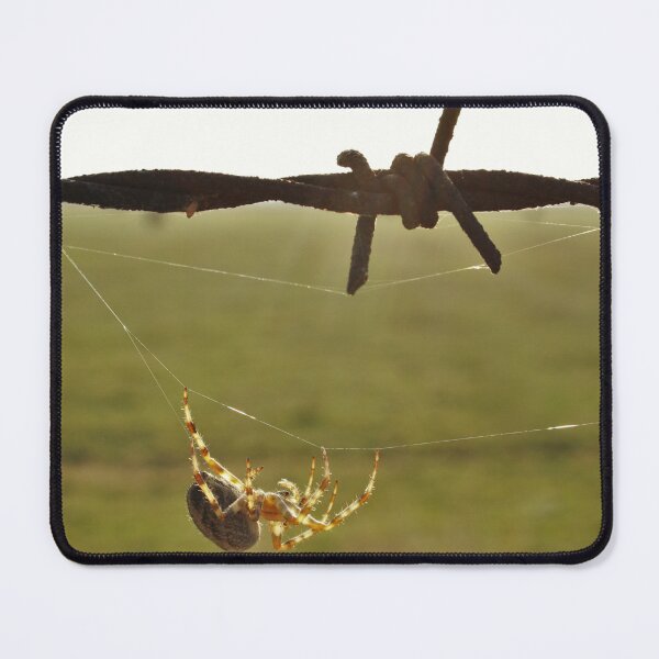Item preview, Walking the Tightrope designed and sold by PoppyPirate.