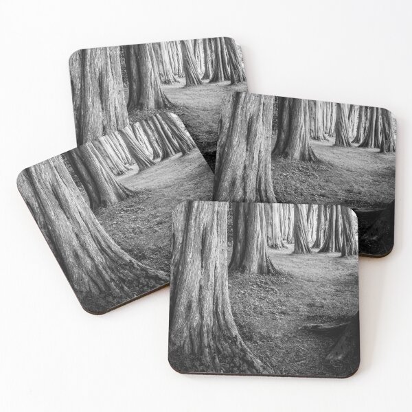 Item preview, Cypress Trees Plas Newydd Wales B&W designed and sold by CEastwoodPhotos.