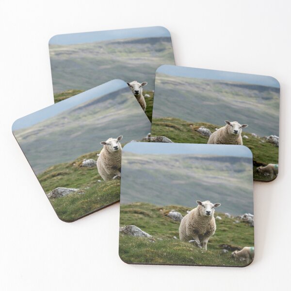 Item preview, A wary mother on watch in the Yorkshire Dales  designed and sold by CEastwoodPhotos.