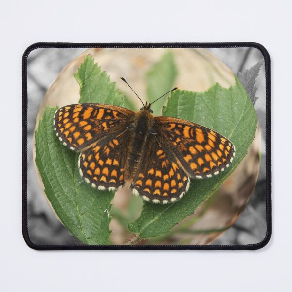 Item preview, Butterfly Bubble designed and sold by PoppyPirate.