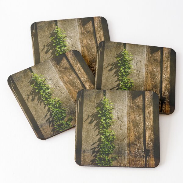 Item preview, Creeping Vine And Barn Wood designed and sold by Jim Love.