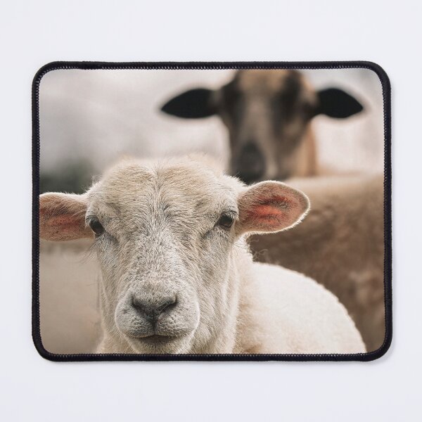 Item preview, A Wooly Story designed and sold by Jim Love.