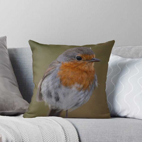 Item preview, European Robin portrait designed and sold by CEastwoodPhotos.